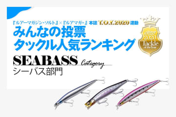 年シーバス人気ロッド リール ルアー ラインのユーザー投票ランキング最終結果発表 B ビードット