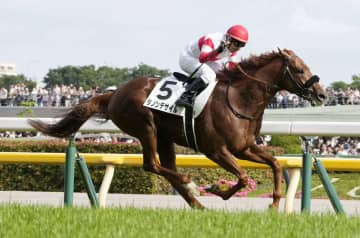 ダノンデサイル、日本ダービーV 競馬、ジャスティンミラノは2着